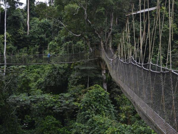 Uganda Mid-Range Safari – 3-Day Gorilla Trek