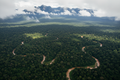 Aerial Uganda Rainforest