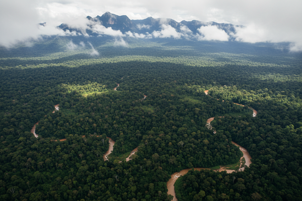 Uganda Gorilla Trekking — 7 Night Rainforest Adventure