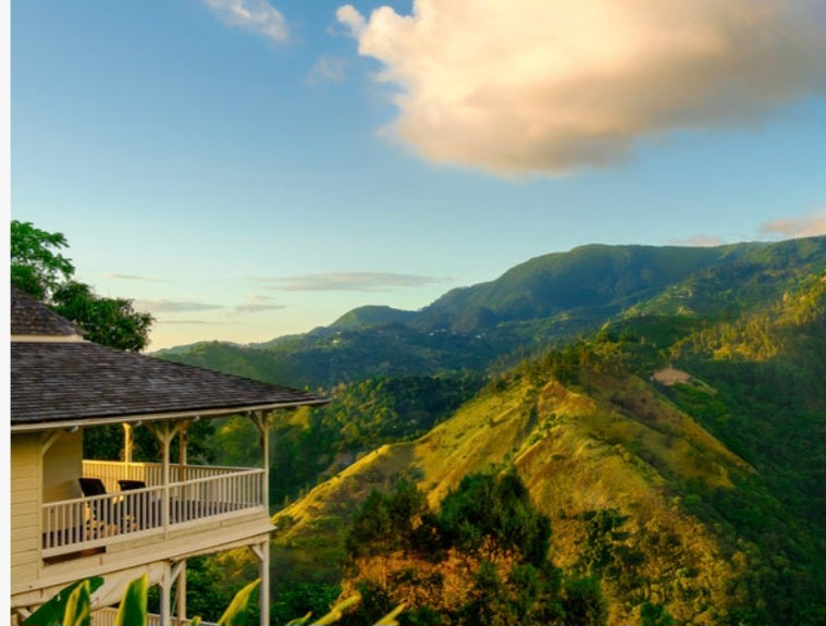 Uganda Gorilla Trekking — 7 Night Rainforest Adventure